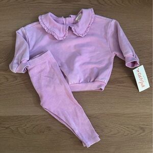 Cat and Jack Pink Ruffled Collar Baby Girl 2 pc Set